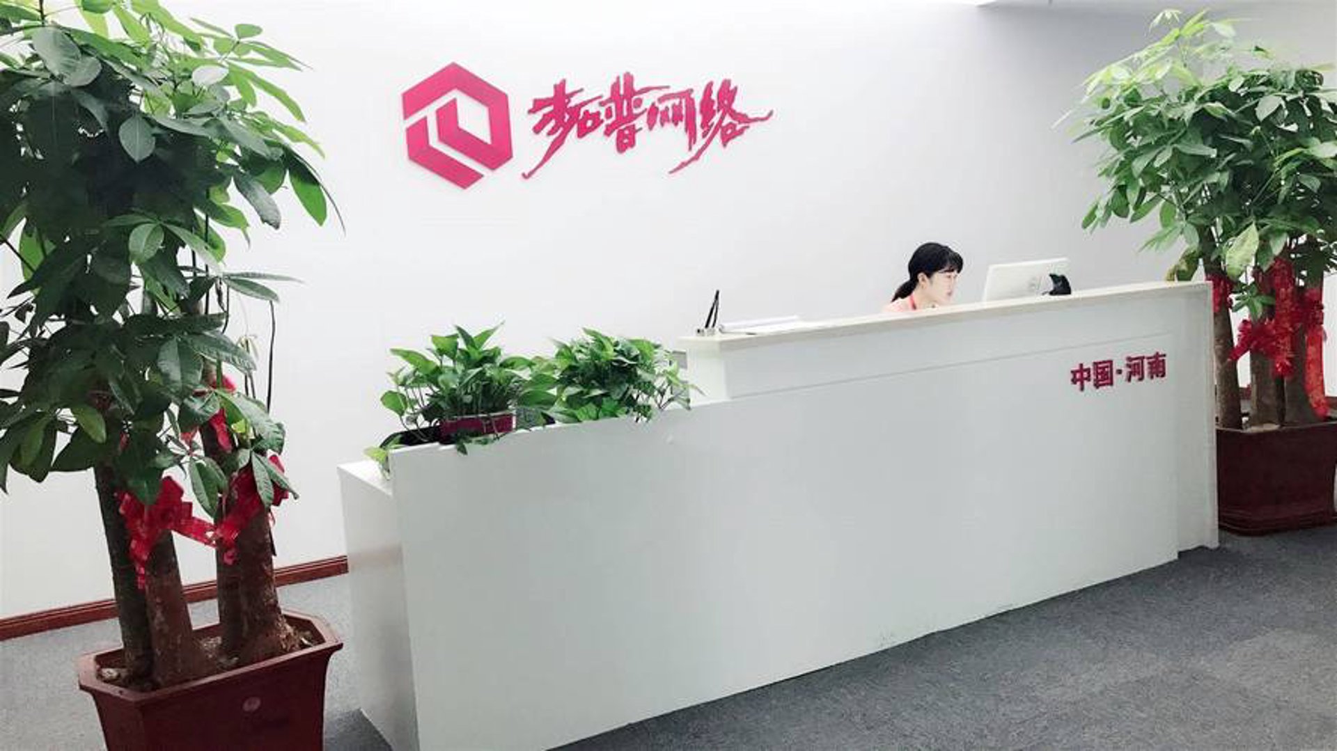 拓普网络科技